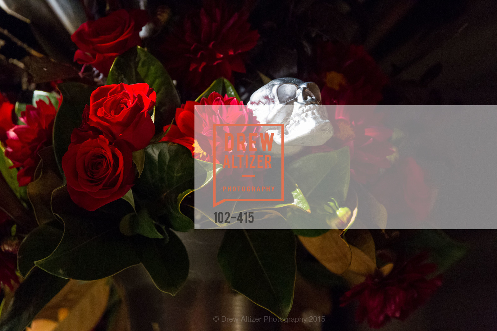 Atmosphere, SPOOKED AT THE STRAND Presented by the American Conservatory Theater, The Strand Theater. 1127 Market Street, October 26th, 2015,Drew Altizer, Drew Altizer Photography, full-service agency, private events, San Francisco photographer, photographer california