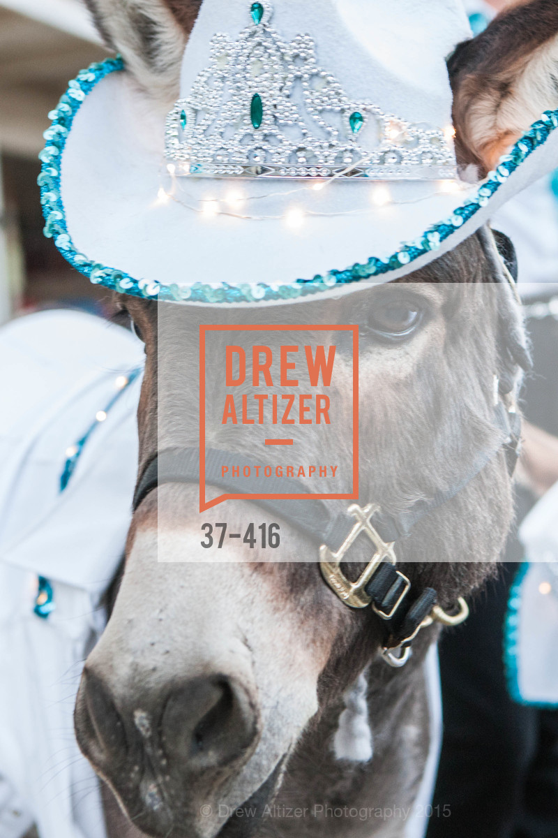 Atmosphere, Children's Health Council Presents Rocktoberfest, National Center For Equine Facilitated Therapy. 880 Runnymede Rd, October 15th, 2015,Drew Altizer, Drew Altizer Photography, full-service agency, private events, San Francisco photographer, photographer california