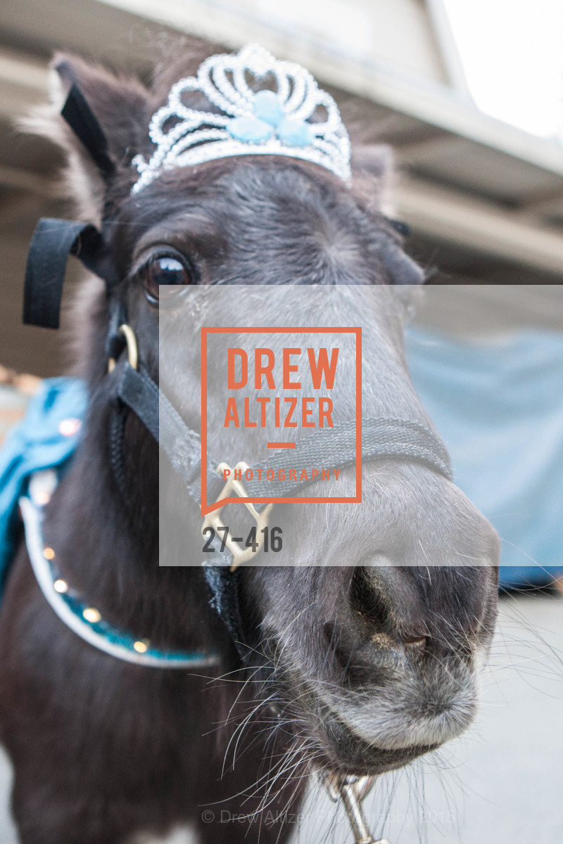 Atmosphere, Children's Health Council Presents Rocktoberfest, National Center For Equine Facilitated Therapy. 880 Runnymede Rd, October 15th, 2015,Drew Altizer, Drew Altizer Photography, full-service agency, private events, San Francisco photographer, photographer california
