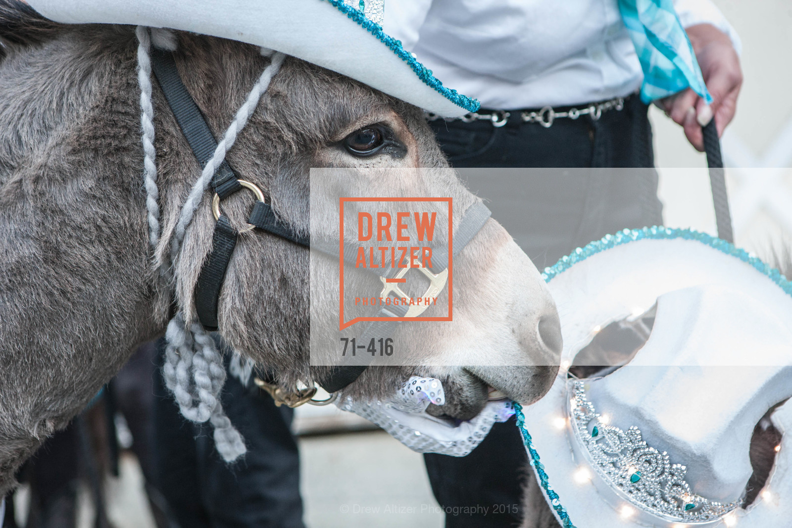 Atmosphere, Children's Health Council Presents Rocktoberfest, National Center For Equine Facilitated Therapy. 880 Runnymede Rd, October 15th, 2015,Drew Altizer, Drew Altizer Photography, full-service agency, private events, San Francisco photographer, photographer california