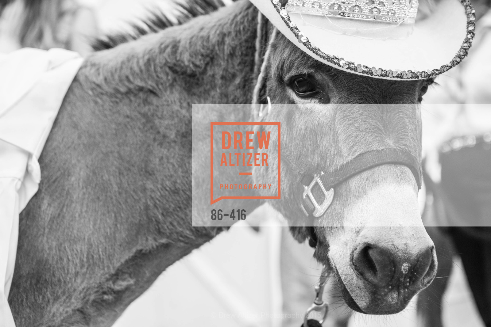 Atmosphere, Children's Health Council Presents Rocktoberfest, National Center For Equine Facilitated Therapy. 880 Runnymede Rd, October 15th, 2015,Drew Altizer, Drew Altizer Photography, full-service agency, private events, San Francisco photographer, photographer california