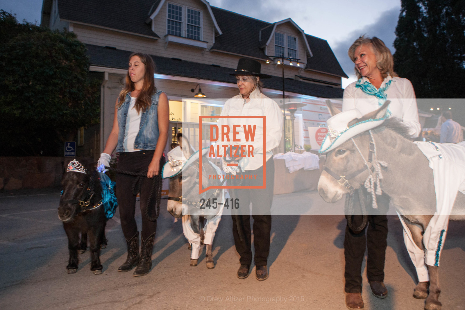 Children's Health Council Presents Rocktoberfest, National Center For Equine Facilitated Therapy. National Center For Equine Facilitated Therapy, . 880 Runnymede Rd, October 15th, 2015, Photo #245-416 Photo #245-416