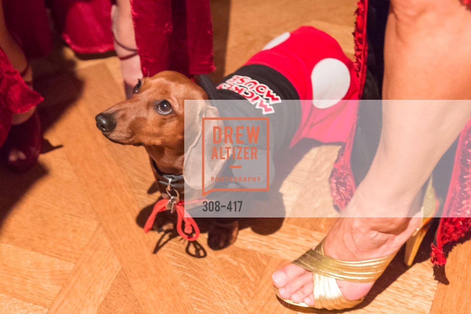 Atmosphere, Wolfson-Federighi Cartoon Costume Party, Private Residence. 737 Bay Road, October 24th, 2015,Drew Altizer, Drew Altizer Photography, full-service agency, private events, San Francisco photographer, photographer california