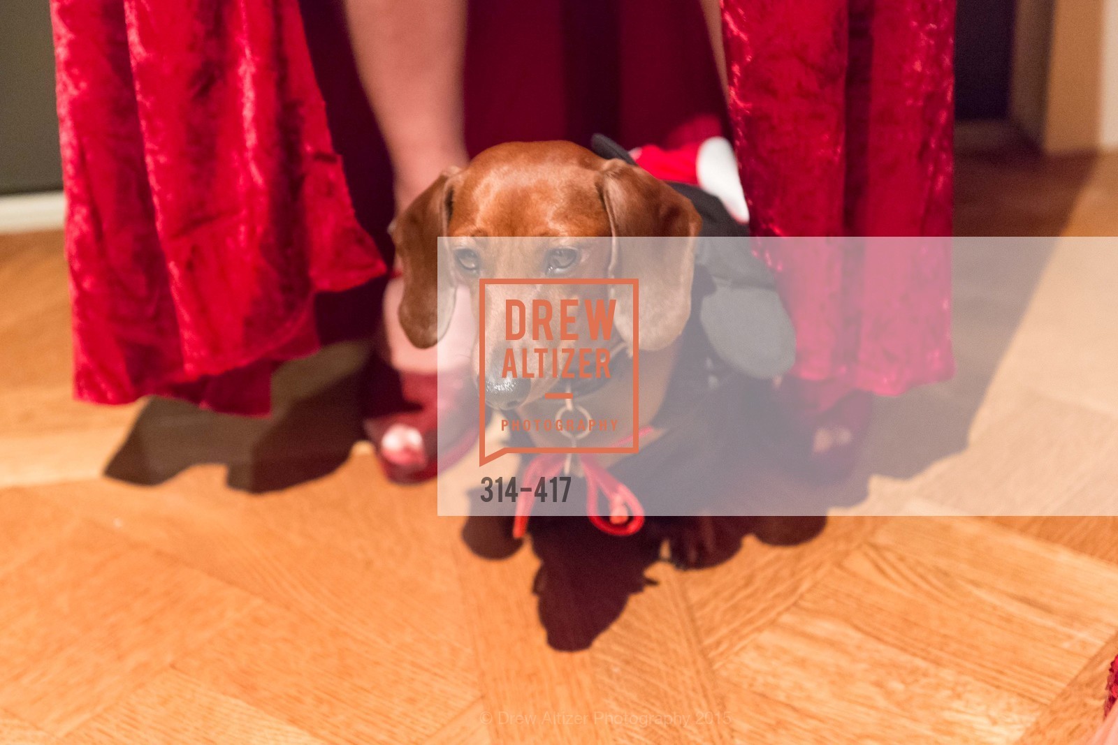 Atmosphere, Wolfson-Federighi Cartoon Costume Party, Private Residence. 737 Bay Road, October 24th, 2015,Drew Altizer, Drew Altizer Photography, full-service agency, private events, San Francisco photographer, photographer california