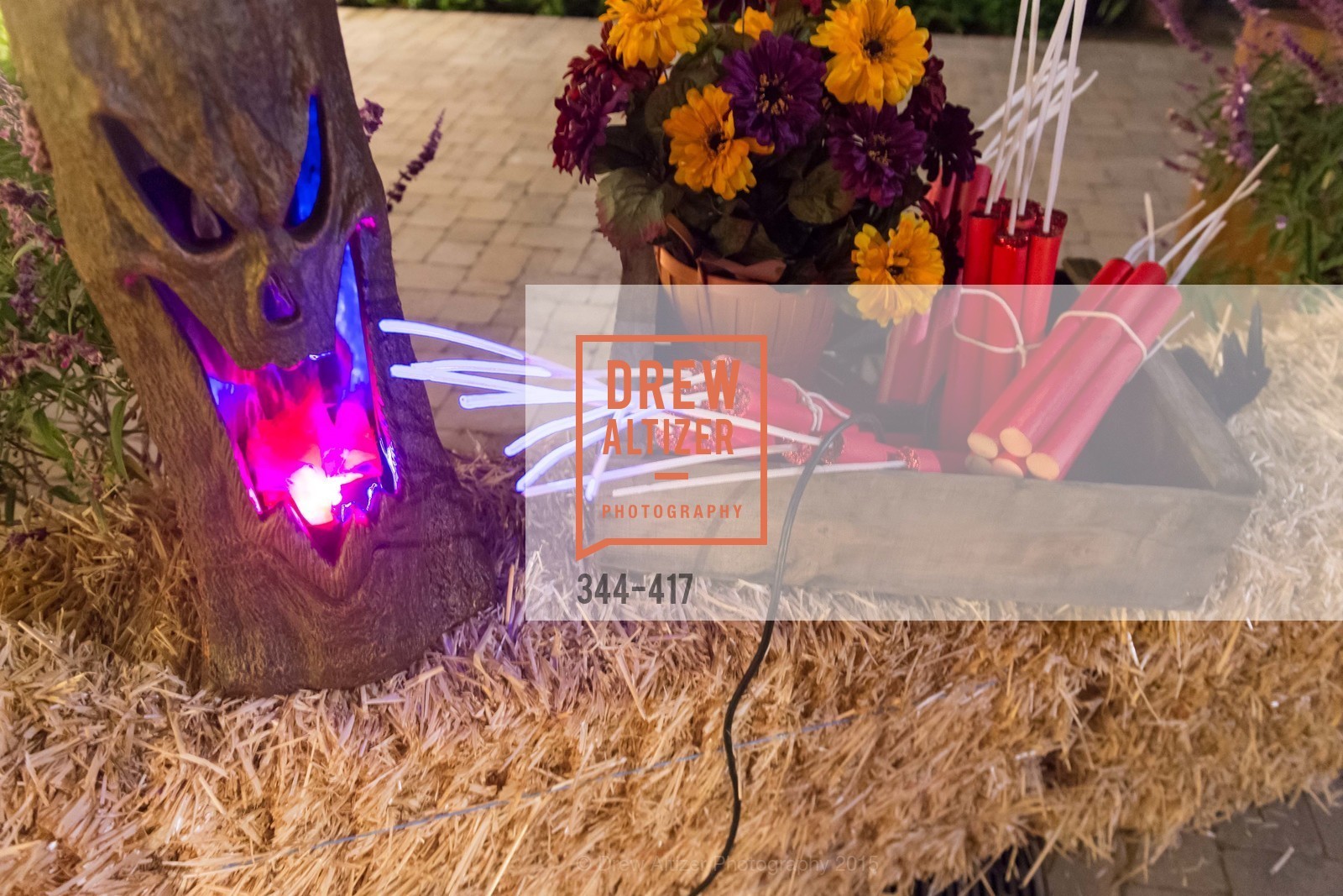 Atmosphere, Wolfson-Federighi Cartoon Costume Party, Private Residence. 737 Bay Road, October 24th, 2015,Drew Altizer, Drew Altizer Photography, full-service agency, private events, San Francisco photographer, photographer california