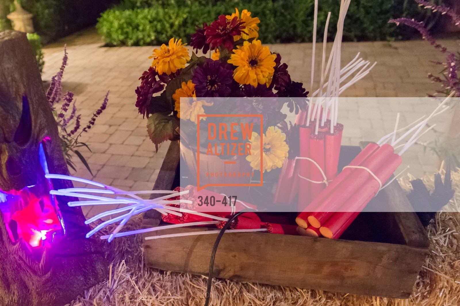 Atmosphere, Wolfson-Federighi Cartoon Costume Party, Private Residence. 737 Bay Road, October 24th, 2015,Drew Altizer, Drew Altizer Photography, full-service agency, private events, San Francisco photographer, photographer california