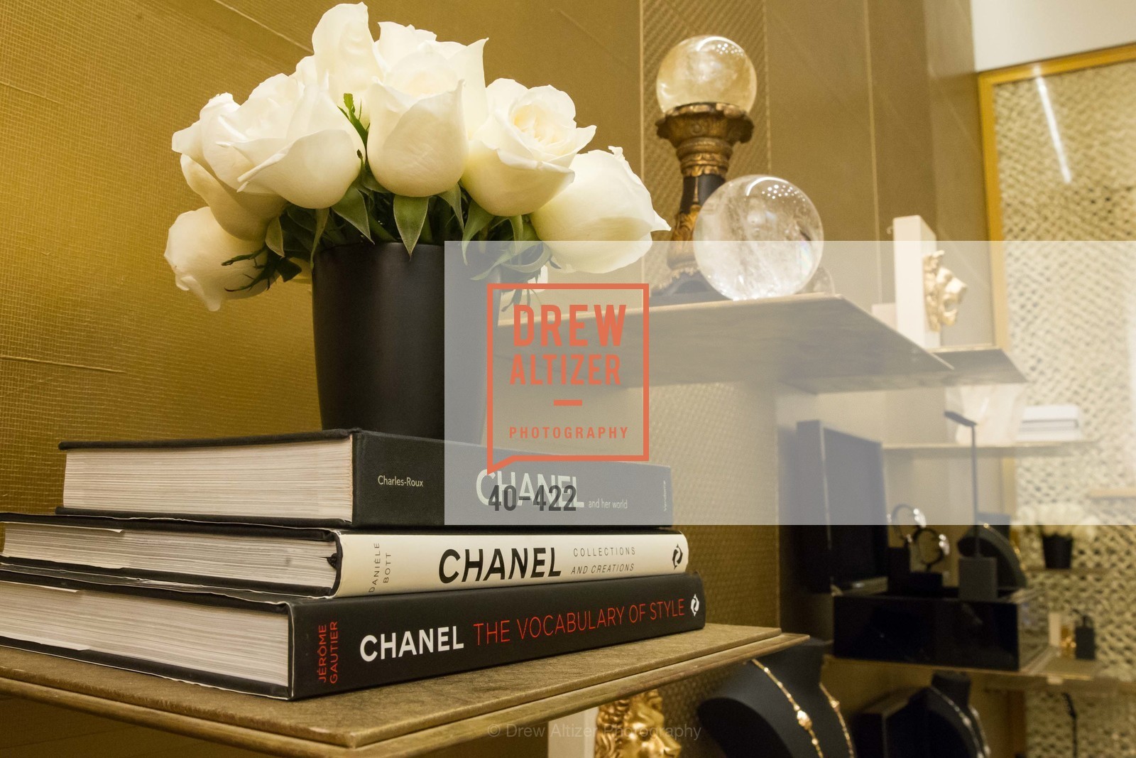 Atmosphere, Chanel San Francisco Lion, October 28th, 2015, Photo,Drew Altizer, Drew Altizer Photography, full-service agency, private events, San Francisco photographer, photographer california