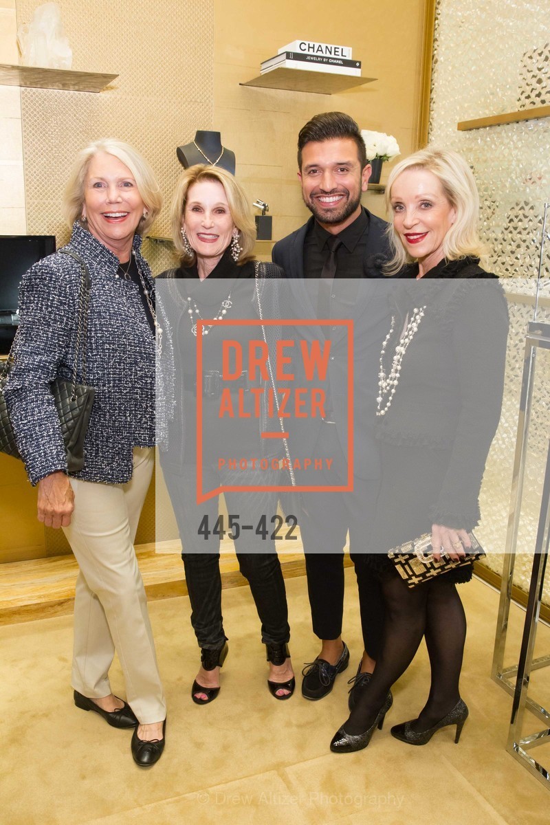 Top Picks, Chanel San Francisco Lion, October 28th, 2015, Photo