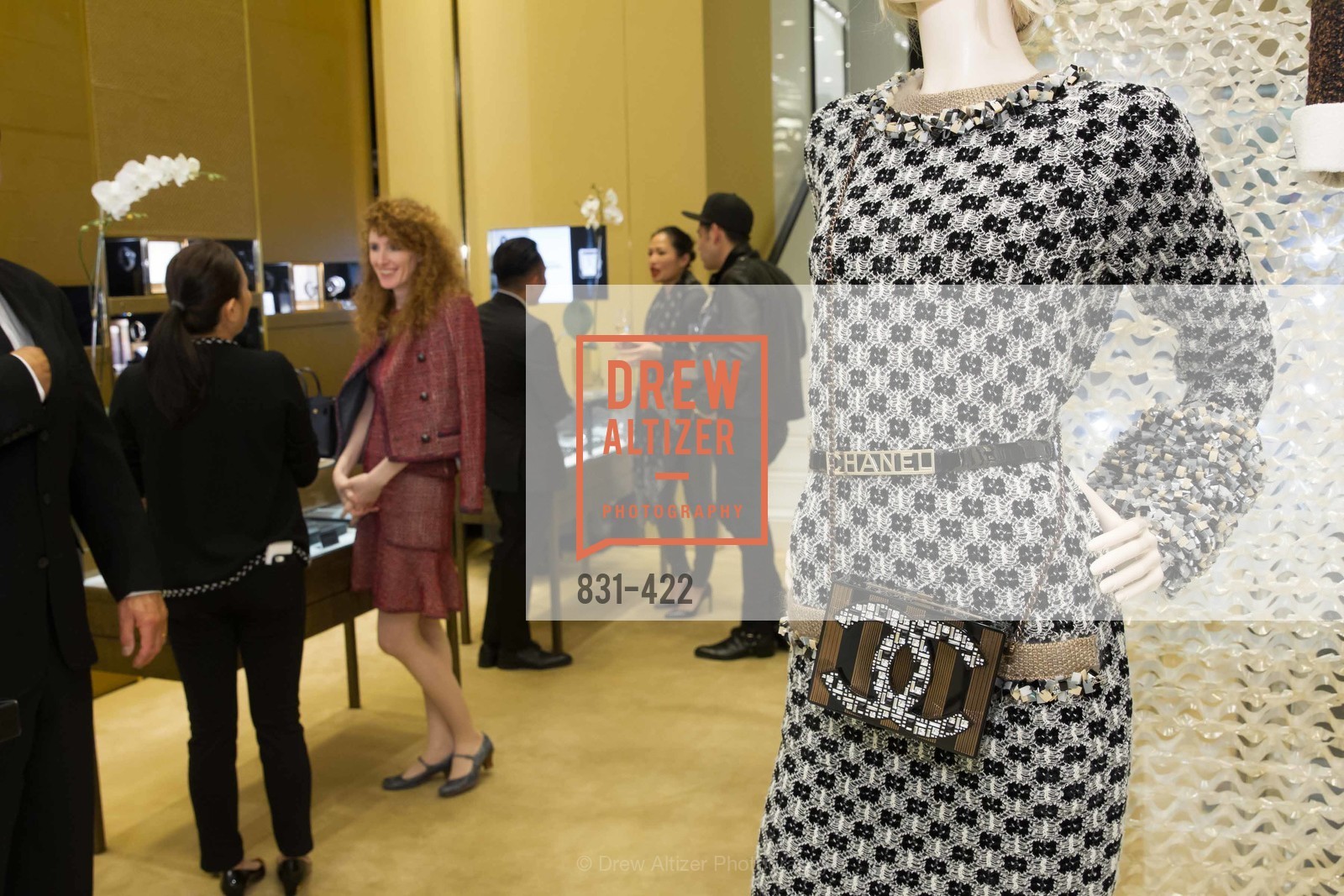 Atmosphere, Chanel San Francisco Lion, October 28th, 2015, Photo,Drew Altizer, Drew Altizer Photography, full-service agency, private events, San Francisco photographer, photographer california