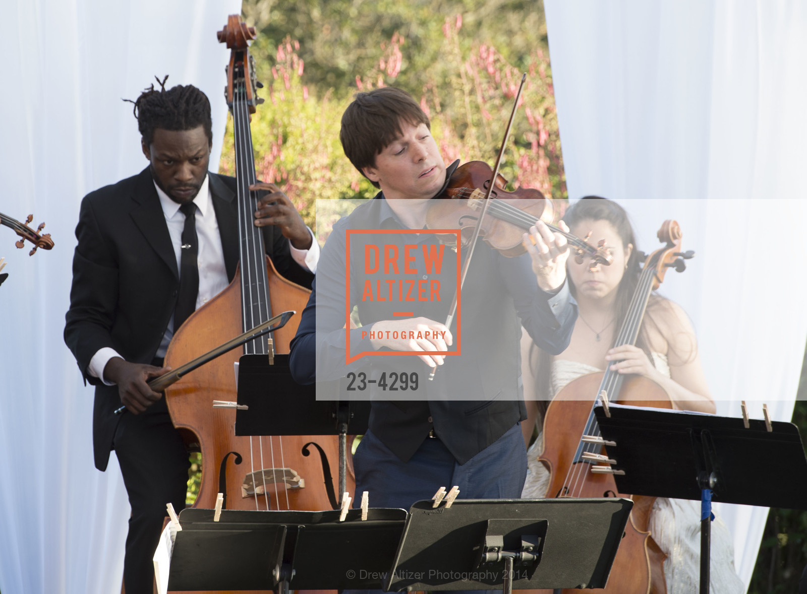 Performance By Joshua Bell, FESTIVAL DEL SOLE'S Founders Dinner, US, July 10th, 2014, Photo #23-4299 Performance By Joshua Bell, Photo #23-4299