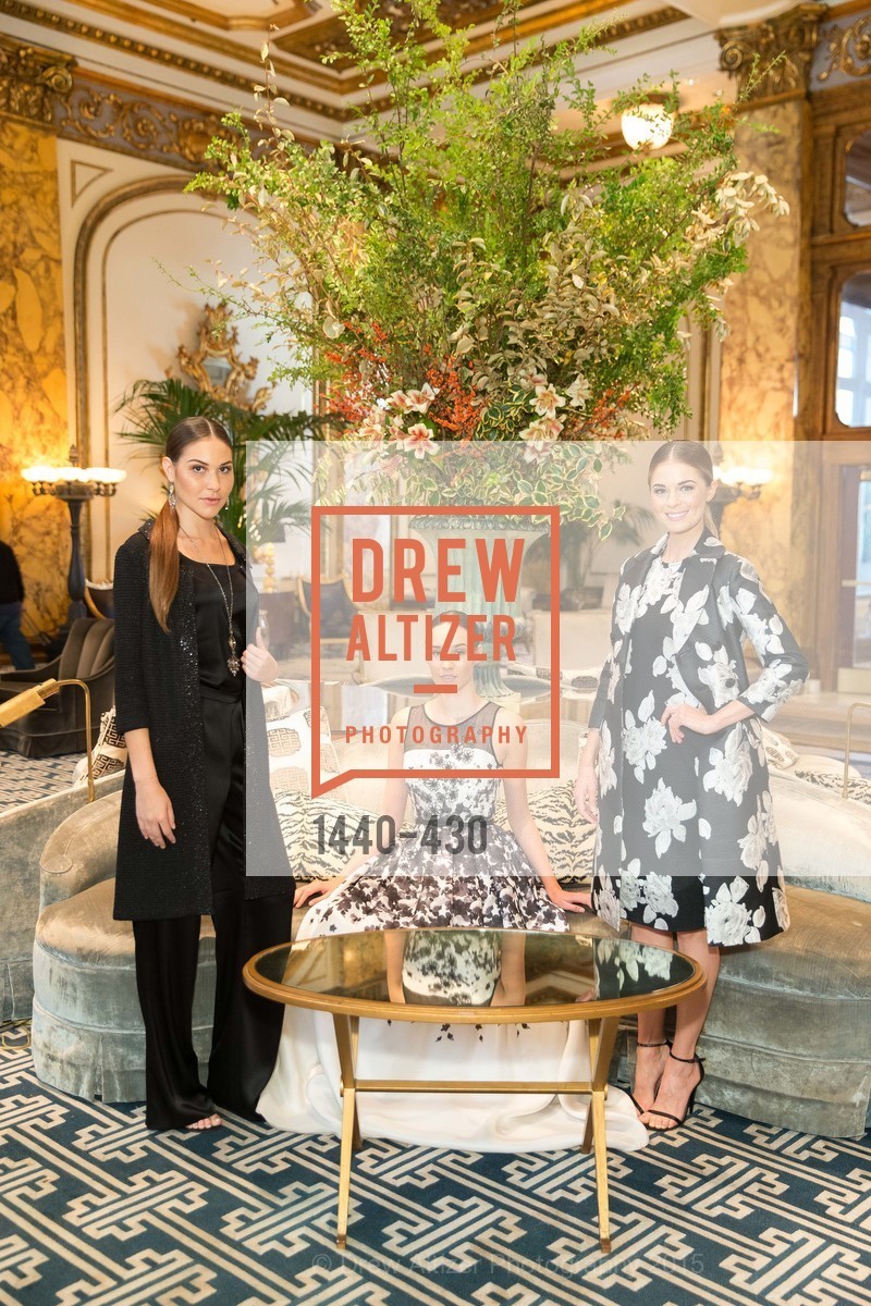 Models, The Arthritis Foundation Presents FASHION FIGHTS ARTHRITIS featuring St. John, Fairmont Hotel, Ballroom. 950 Mason Street, October 30th, 2015,Drew Altizer, Drew Altizer Photography, full-service agency, private events, San Francisco photographer, photographer california