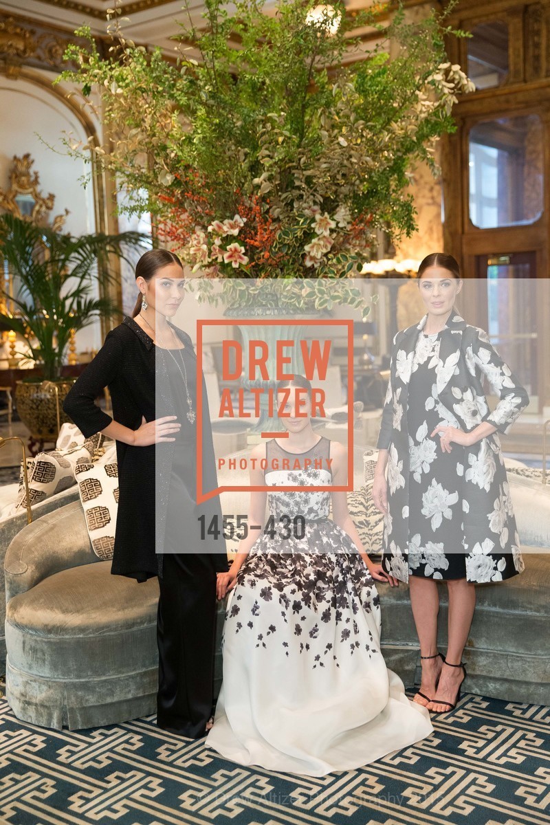 Models, The Arthritis Foundation Presents FASHION FIGHTS ARTHRITIS featuring St. John, Fairmont Hotel, Ballroom. 950 Mason Street, October 30th, 2015,Drew Altizer, Drew Altizer Photography, full-service event agency, private events, San Francisco photographer, photographer California
