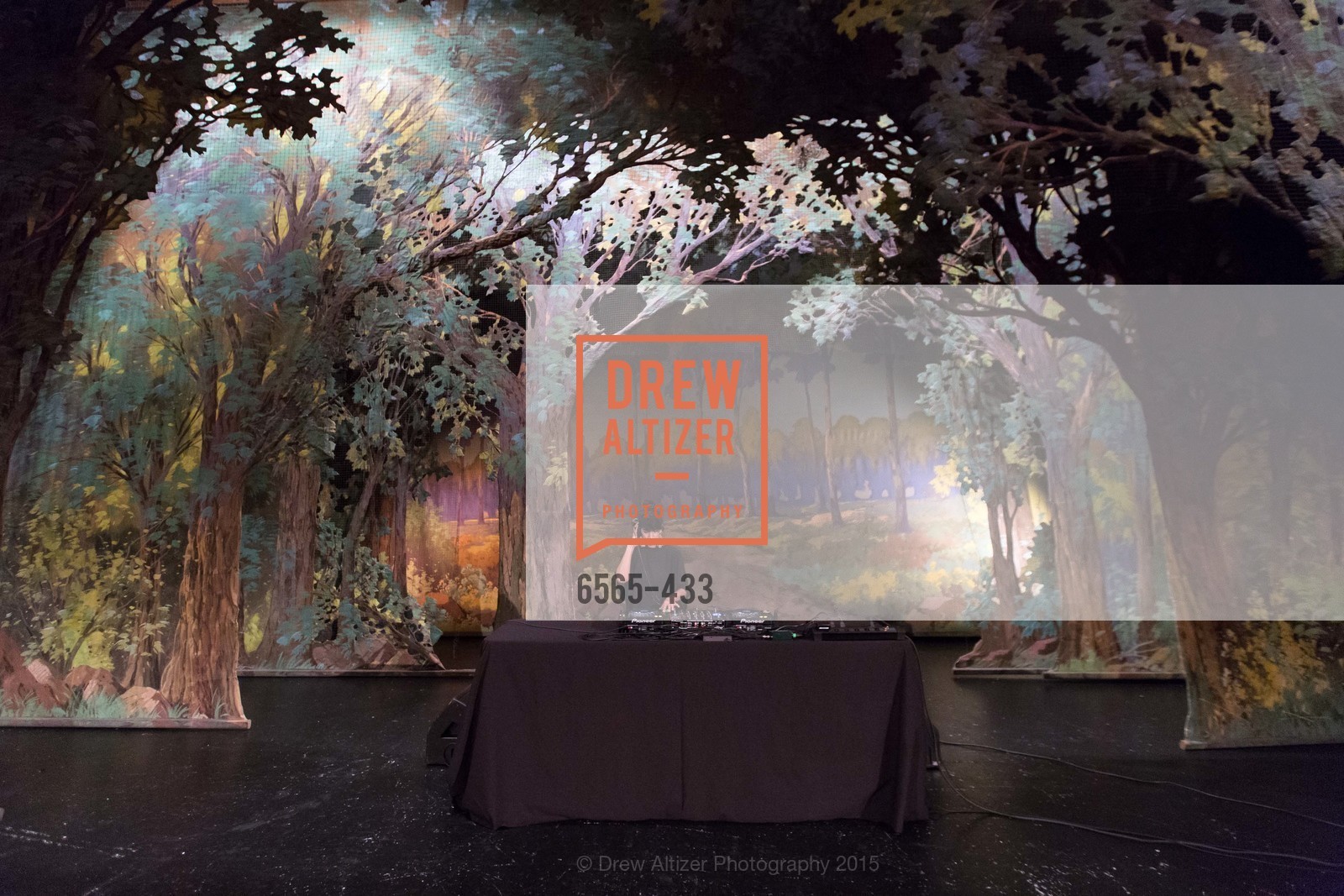 Atmosphere, SFMOMA Contemporary Vision Award, Regency Ballroom. 1300 Van Ness, November 3rd, 2015,Drew Altizer, Drew Altizer Photography, full-service agency, private events, San Francisco photographer, photographer california