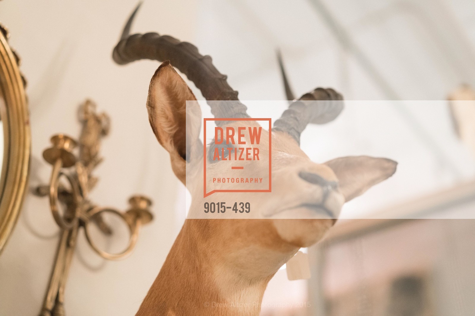 Atmosphere, J.RACHMAN FIRST LOOK AND GRAND OPENING, JONATHAN RACHMAN DESIGN. 1632C MARKET ST, November 4th, 2015,Drew Altizer, Drew Altizer Photography, full-service agency, private events, San Francisco photographer, photographer california
