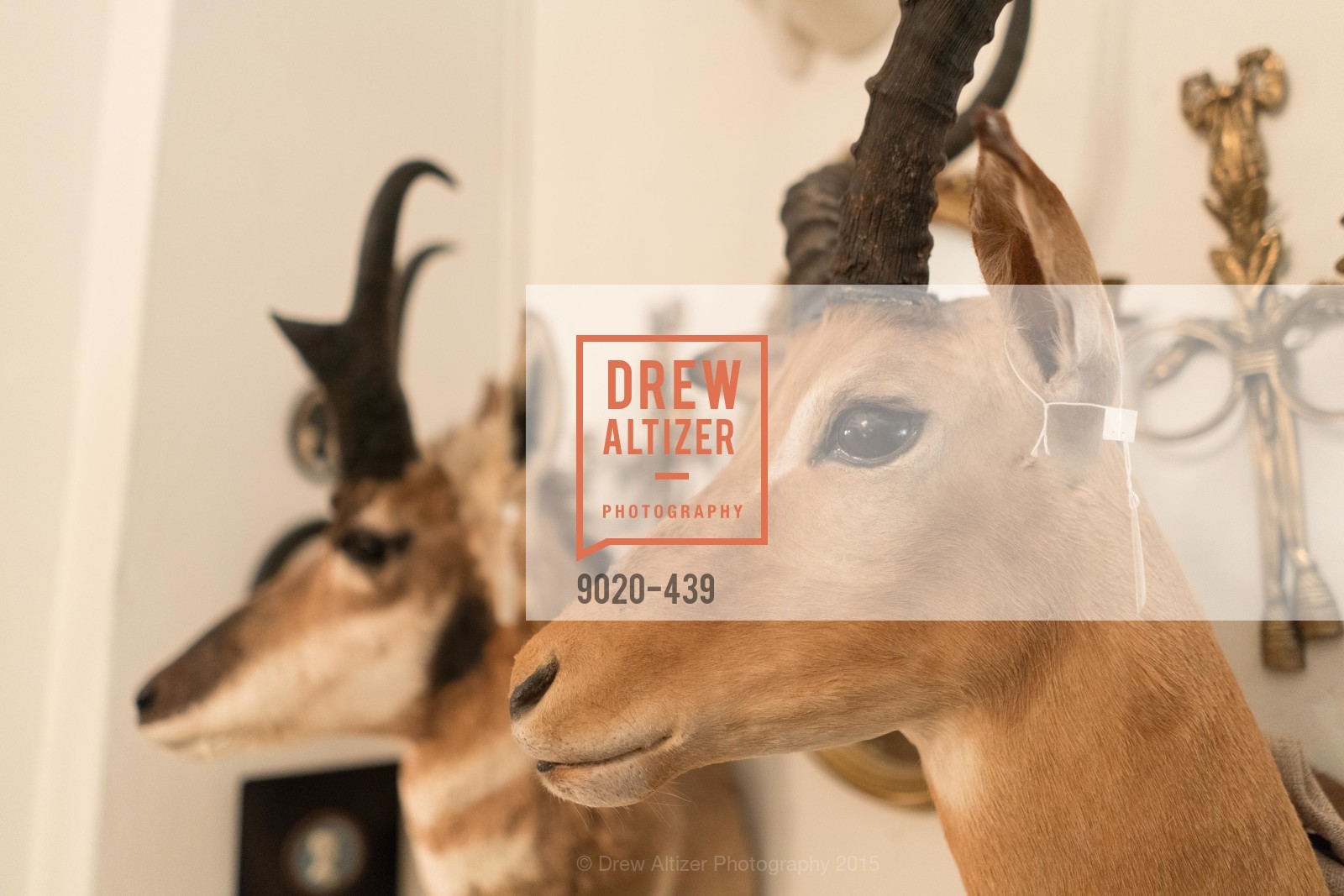 Atmosphere, J.RACHMAN FIRST LOOK AND GRAND OPENING, JONATHAN RACHMAN DESIGN. 1632C MARKET ST, November 4th, 2015,Drew Altizer, Drew Altizer Photography, full-service agency, private events, San Francisco photographer, photographer california