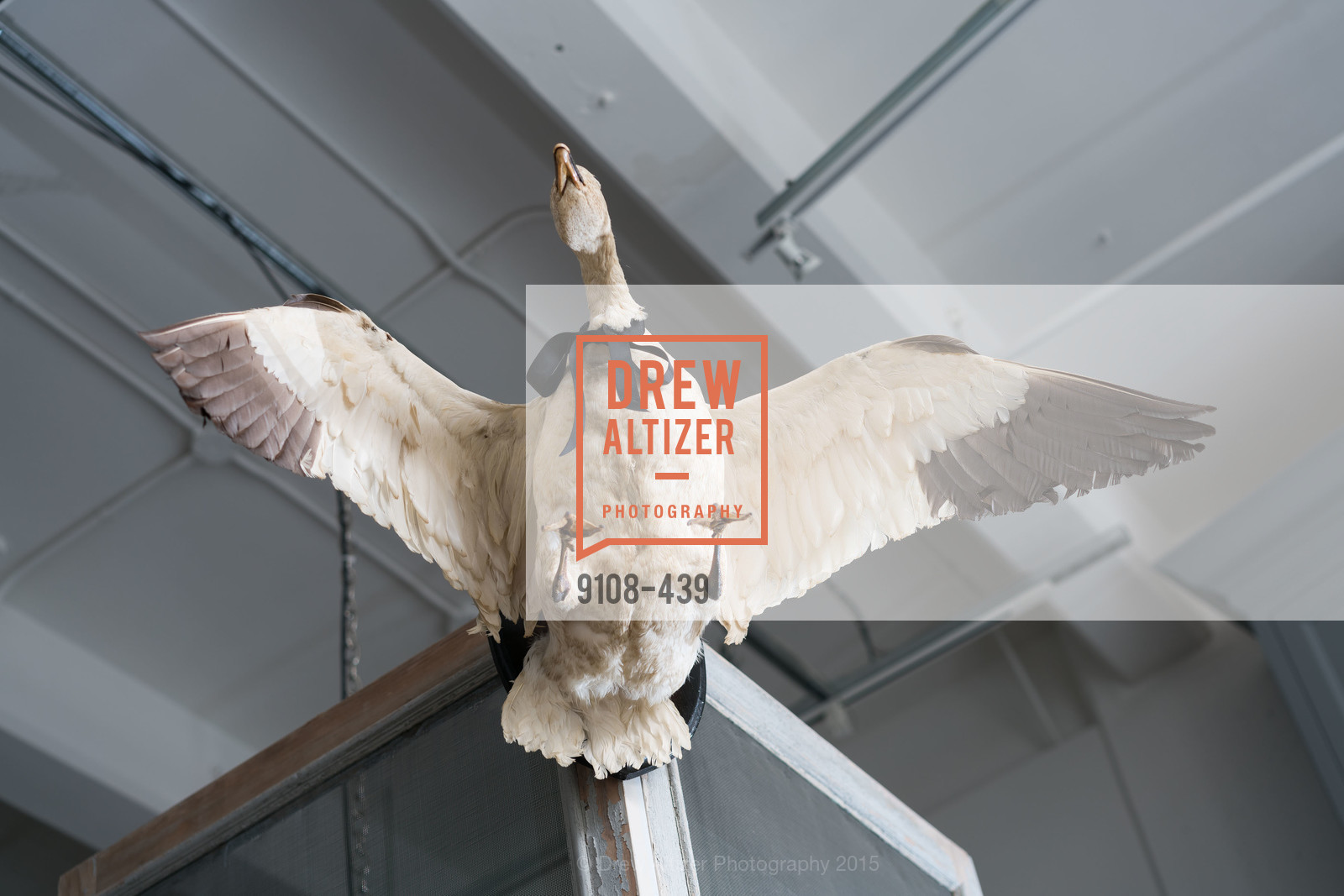Atmosphere, J.RACHMAN FIRST LOOK AND GRAND OPENING, JONATHAN RACHMAN DESIGN. 1632C MARKET ST, November 4th, 2015,Drew Altizer, Drew Altizer Photography, full-service event agency, private events, San Francisco photographer, photographer California