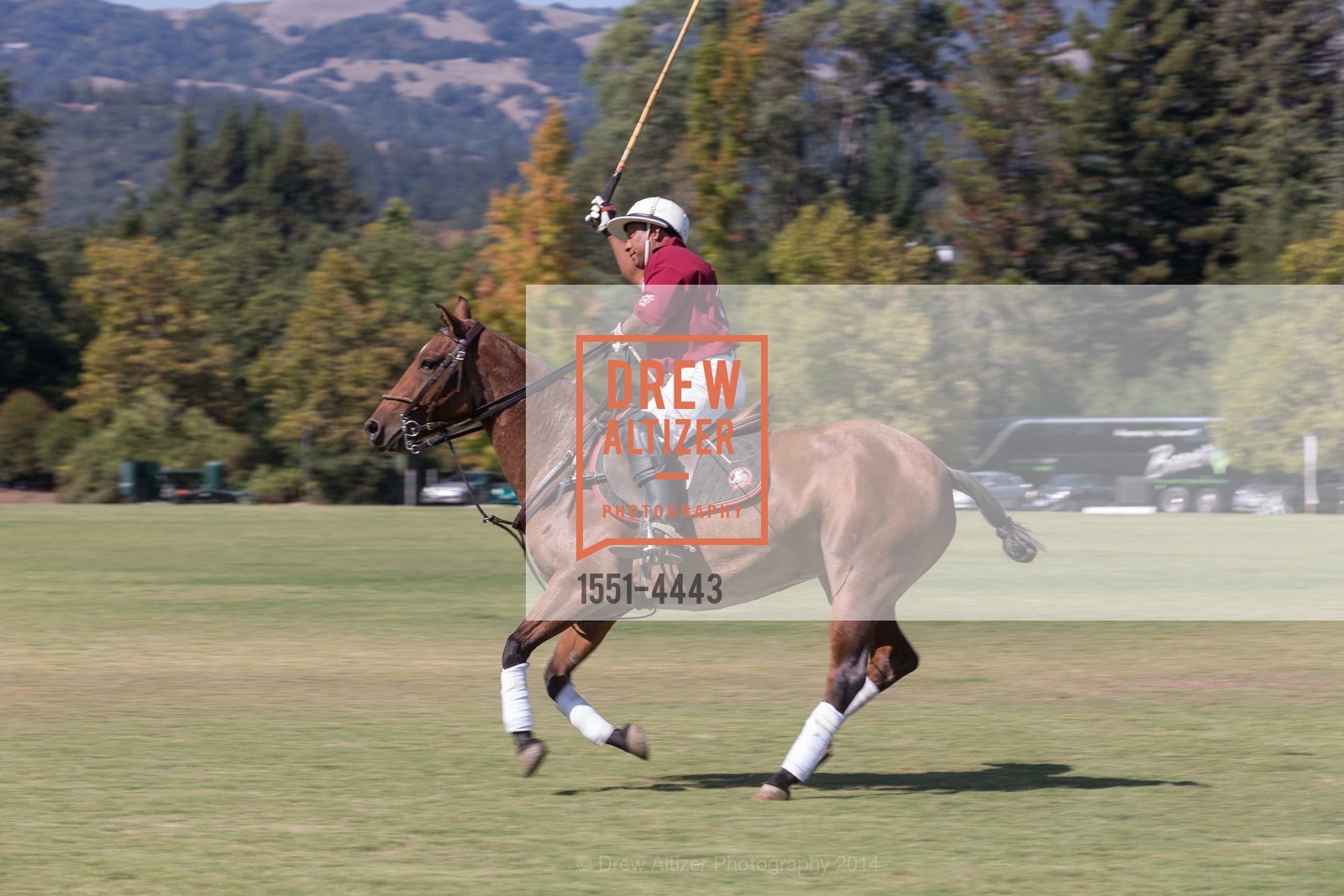 Polo Match, Photo #1551-4443