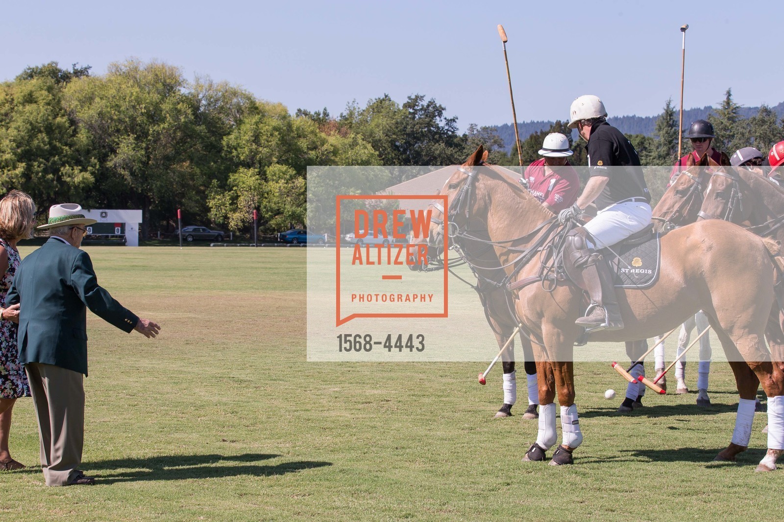 Polo Match, Photo #1568-4443