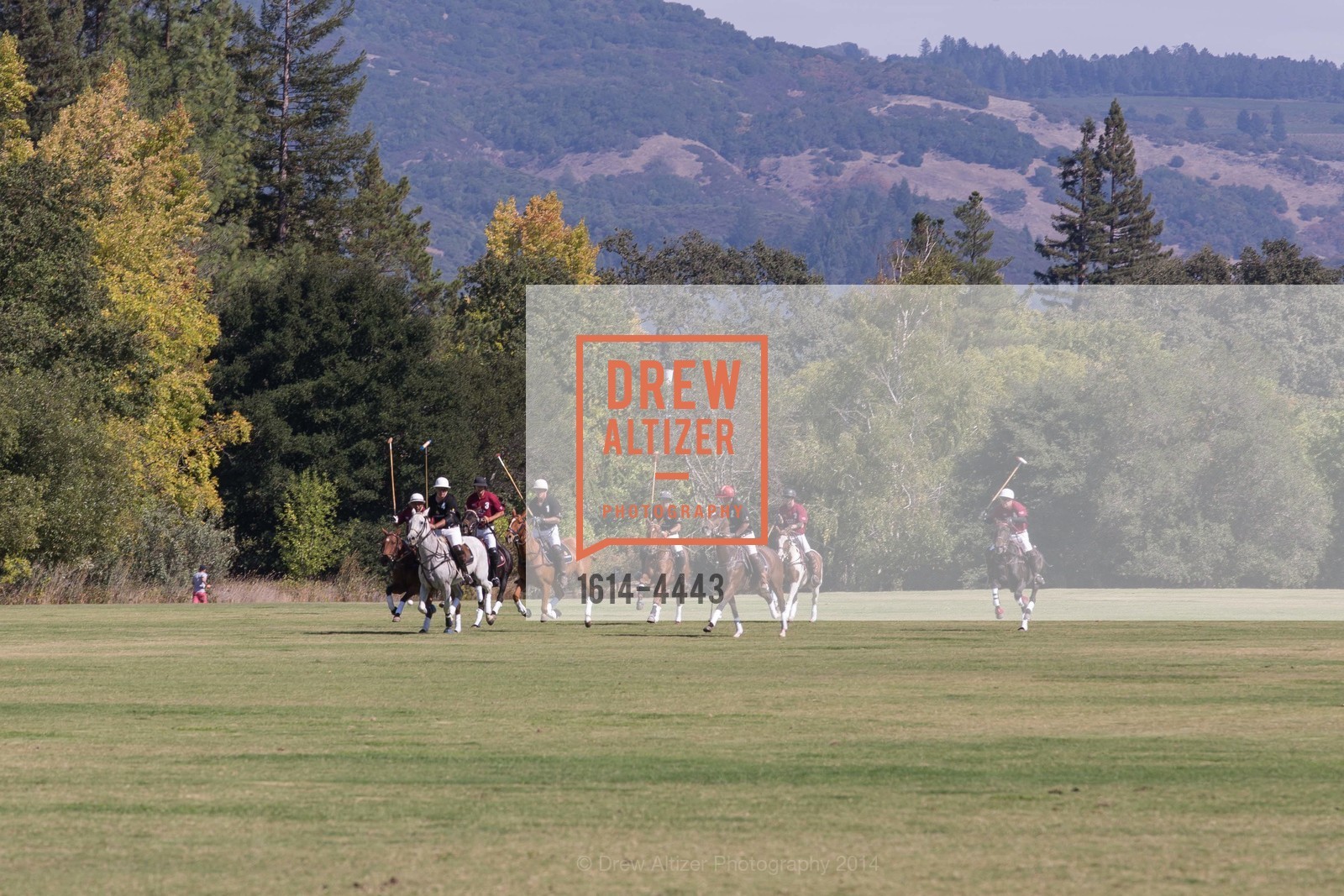 Polo Match at ST. REGIS POLO Cup & Sunset Dinner