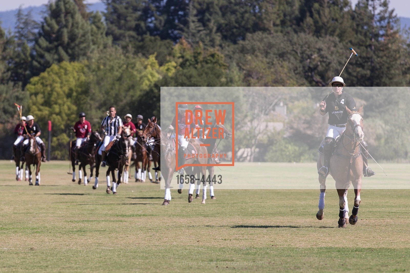 Polo Match, Photo #1658-4443