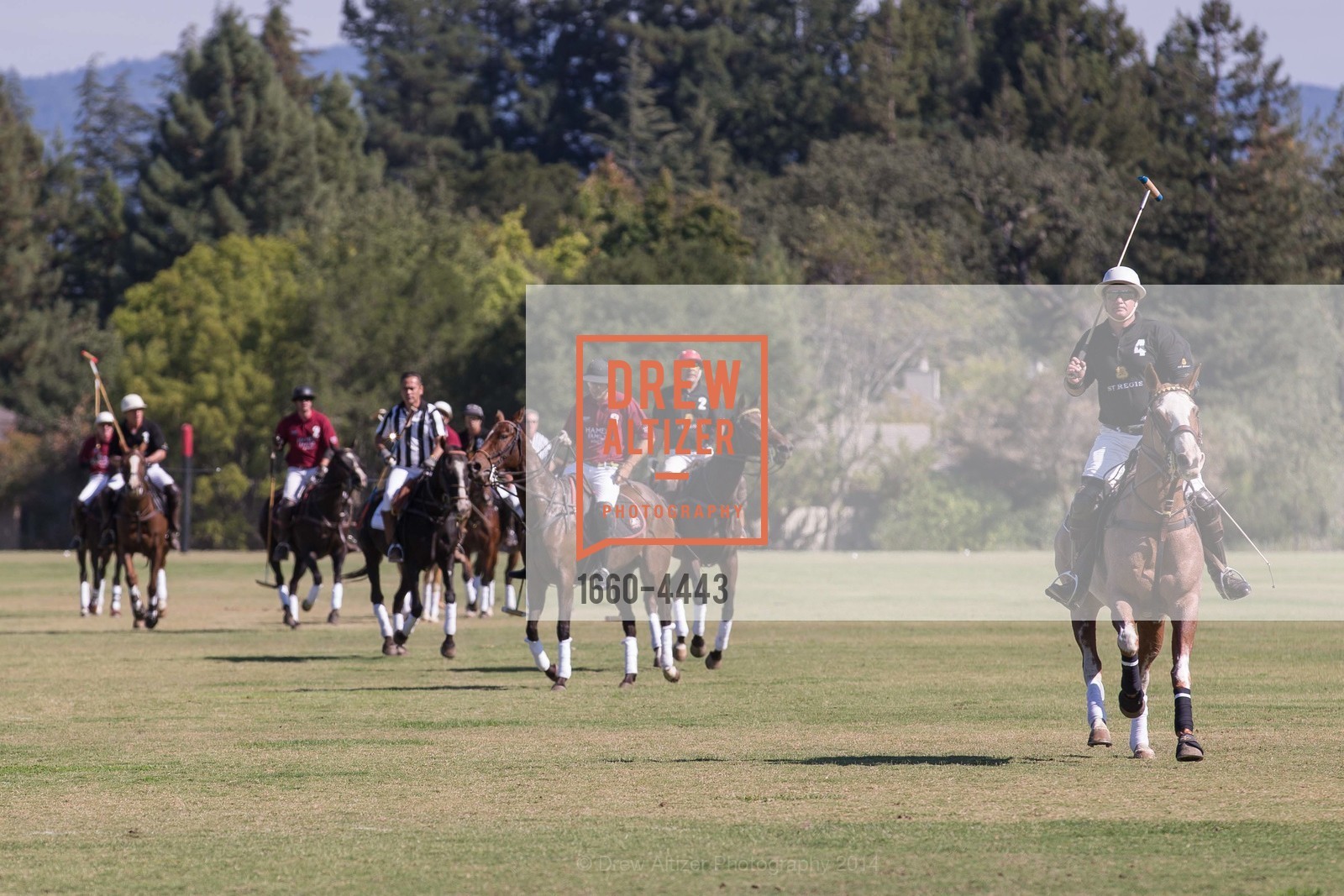 Polo Match, Photo #1660-4443