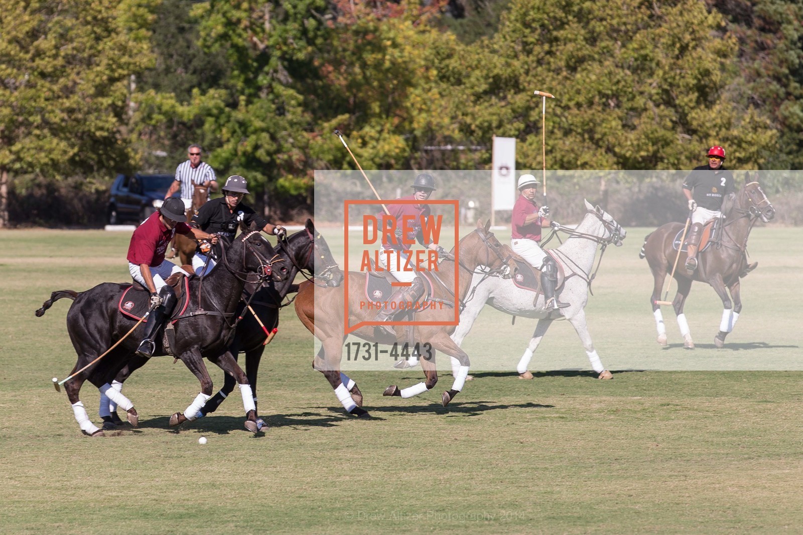 Polo Match at ST. REGIS POLO Cup & Sunset Dinner