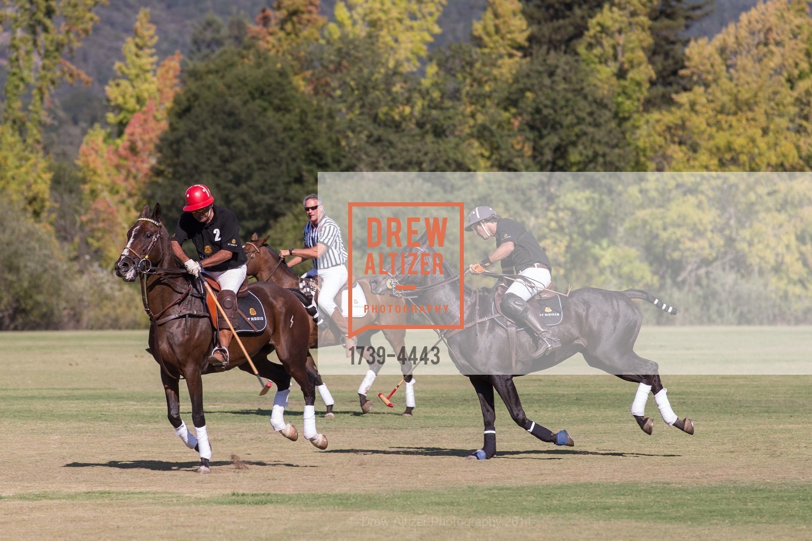 Polo Match, Photo #1739-4443