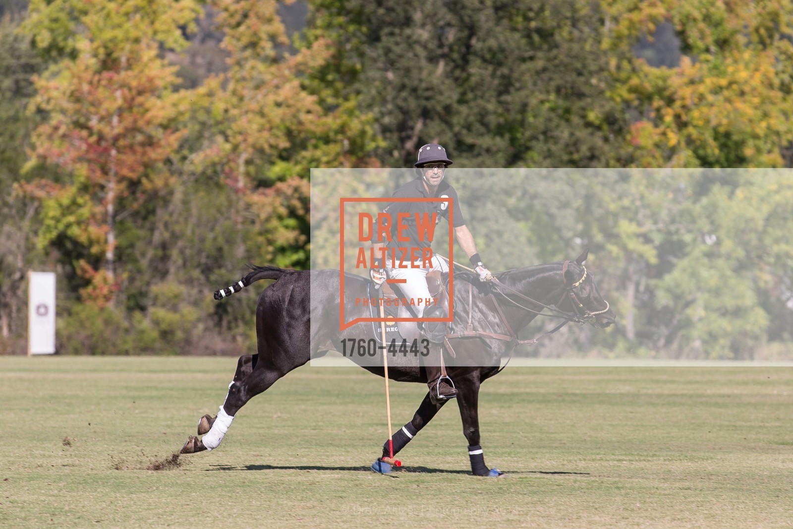 Polo Match at ST. REGIS POLO Cup & Sunset Dinner