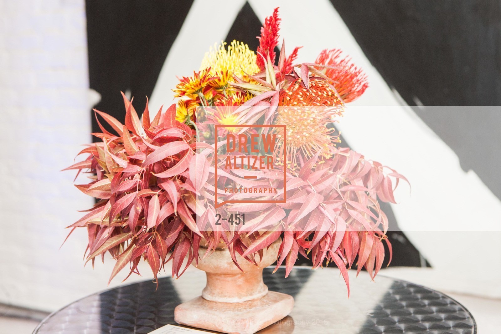 Atmosphere, Healdsburg Dream Estates Cocktail Party, Taylor Lombardo. 40 Hotaling Place, November 5th, 2015,Drew Altizer, Drew Altizer Photography, full-service agency, private events, San Francisco photographer, photographer california