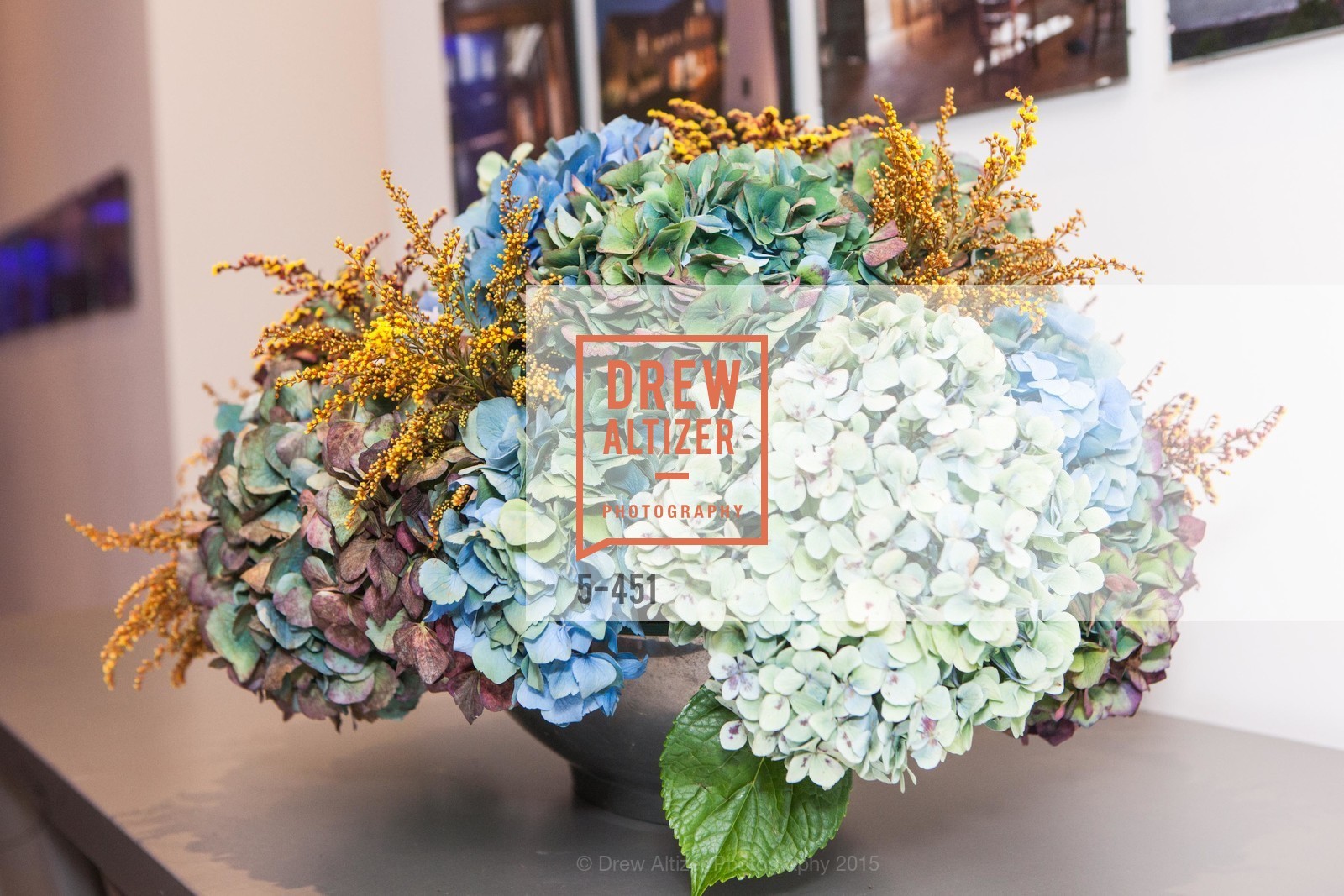 Atmosphere, Healdsburg Dream Estates Cocktail Party, Taylor Lombardo. 40 Hotaling Place, November 5th, 2015,Drew Altizer, Drew Altizer Photography, full-service agency, private events, San Francisco photographer, photographer california