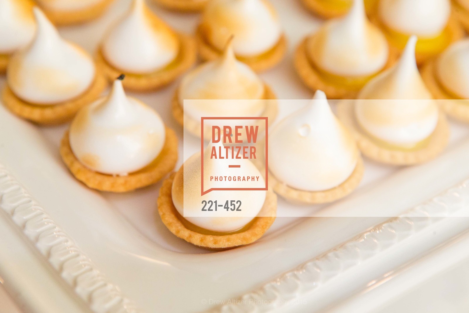 Atmosphere, Getty Hosts the Africa Foundation, Private Residence. 2525 Van Ness St, November 5th, 2015,Drew Altizer, Drew Altizer Photography, full-service agency, private events, San Francisco photographer, photographer california