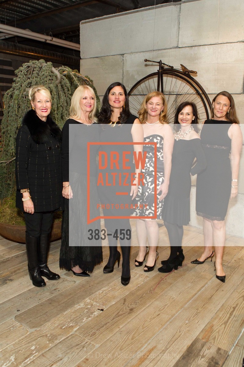 Joan Gillette, Grace SorgGrace Sorg, Kris Anthony, Renee Rodman, V'Anne Singleton, Carla Wytmar, 2014 SAN FRANCISCO BALLET OPENING NIGHT GALA Patron and Sponsor Reception, US. US, January 14th, 2014,Drew Altizer, Drew Altizer Photography, full-service agency, private events, San Francisco photographer, photographer california