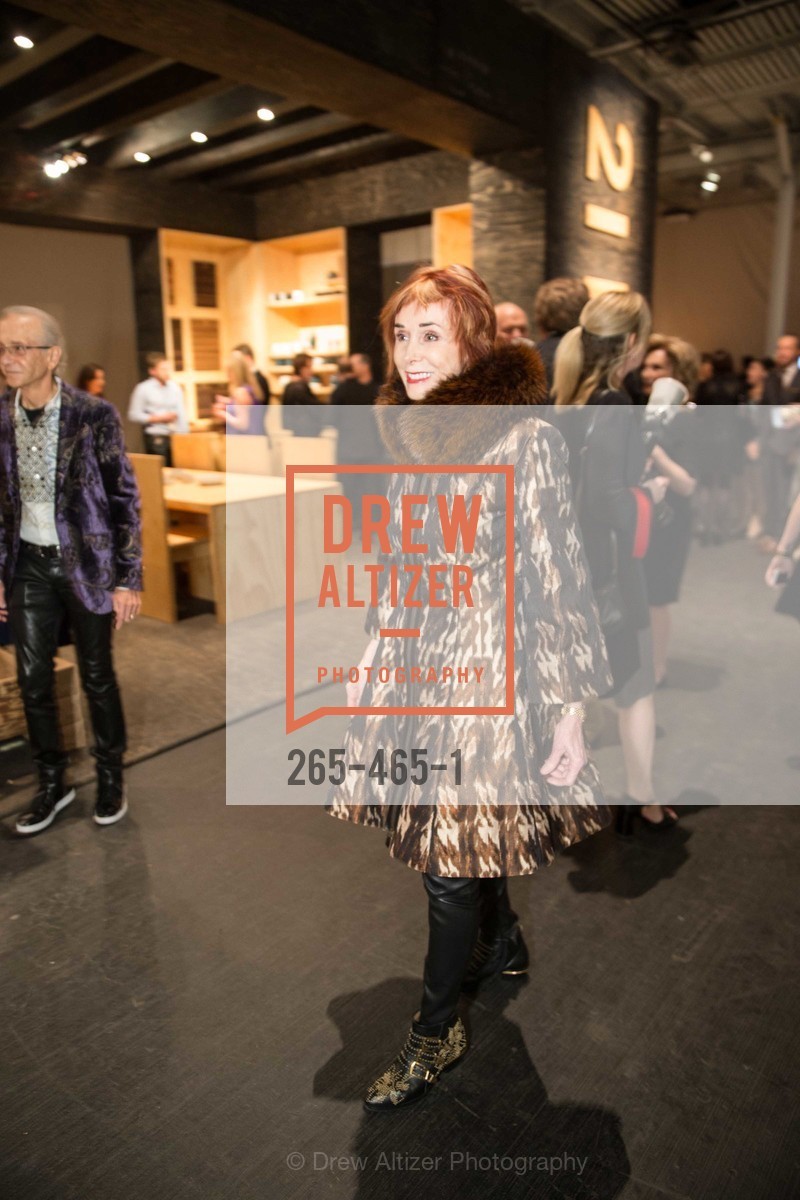 Norah Stone, FOG Design + Art Preview Gala, US. US, January 16th, 2014,Drew Altizer, Drew Altizer Photography, full-service agency, private events, San Francisco photographer, photographer california