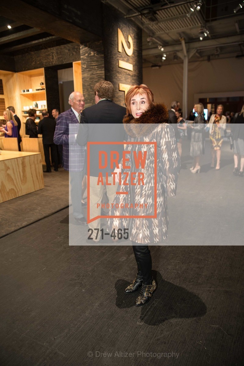 Norah Stone, FOG Design + Art Preview Gala, US. US, January 16th, 2014,Drew Altizer, Drew Altizer Photography, full-service agency, private events, San Francisco photographer, photographer california