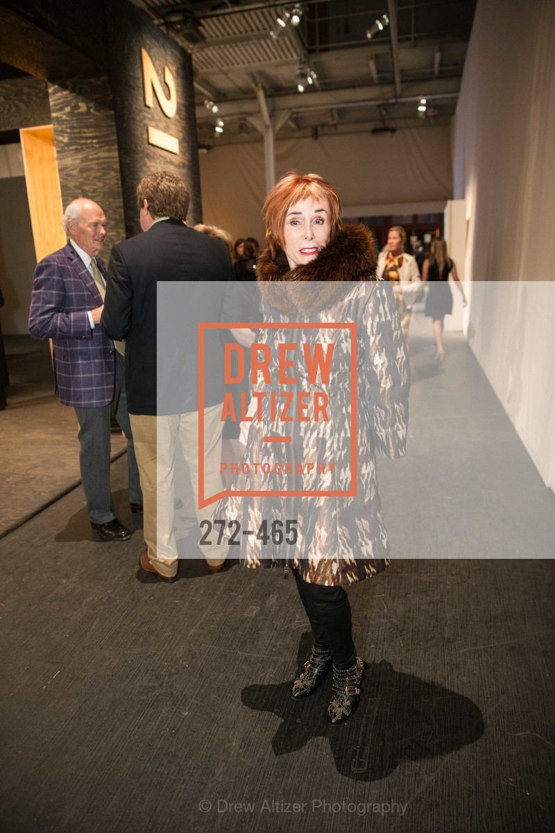 Norah Stone, FOG Design + Art Preview Gala, US. US, January 16th, 2014,Drew Altizer, Drew Altizer Photography, full-service agency, private events, San Francisco photographer, photographer california