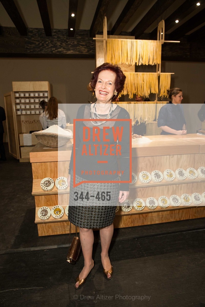 Helen Hilton Raiser, FOG Design + Art Preview Gala, US. US, January 16th, 2014,Drew Altizer, Drew Altizer Photography, full-service agency, private events, San Francisco photographer, photographer california