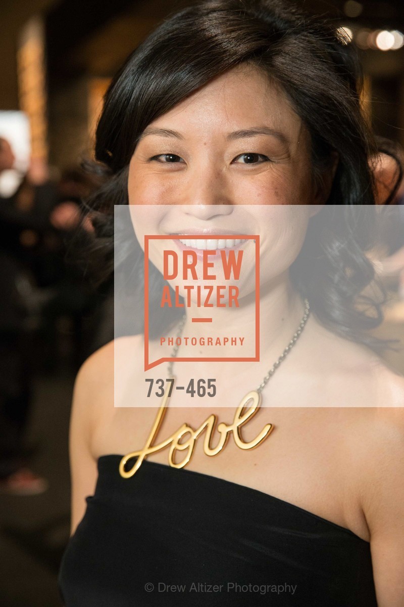 Catherine Kwong, FOG Design + Art Preview Gala, US. US, January 16th, 2014,Drew Altizer, Drew Altizer Photography, full-service agency, private events, San Francisco photographer, photographer california