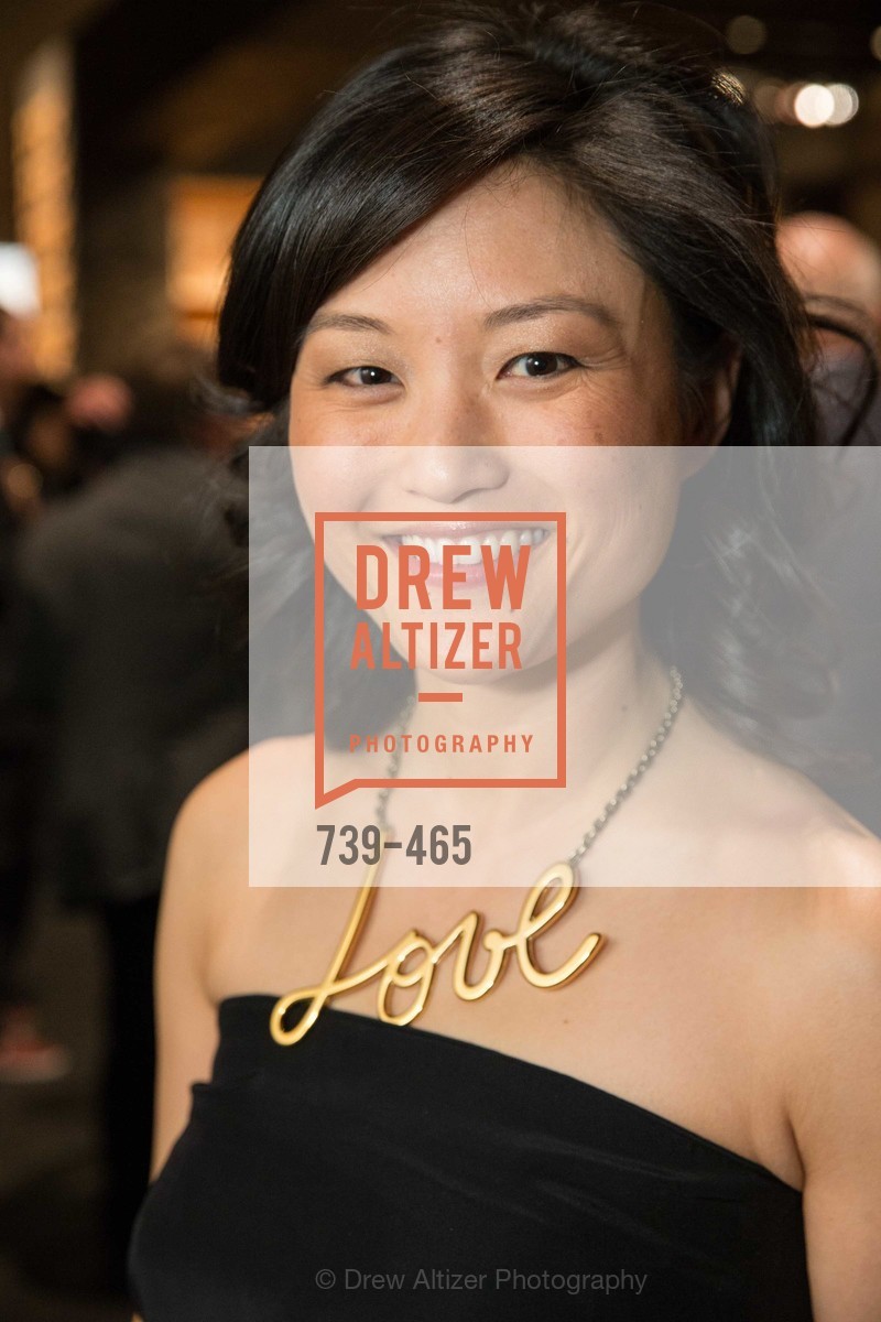 Catherine Kwong, FOG Design + Art Preview Gala, US. US, January 16th, 2014,Drew Altizer, Drew Altizer Photography, full-service agency, private events, San Francisco photographer, photographer california