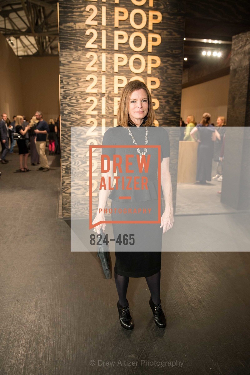 Suzy Kellems Dominik, FOG Design + Art Preview Gala, US. US, January 16th, 2014,Drew Altizer, Drew Altizer Photography, full-service agency, private events, San Francisco photographer, photographer california