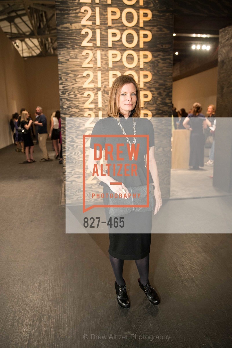 Suzy Kellems Dominik, FOG Design + Art Preview Gala, US. US, January 16th, 2014,Drew Altizer, Drew Altizer Photography, full-service agency, private events, San Francisco photographer, photographer california