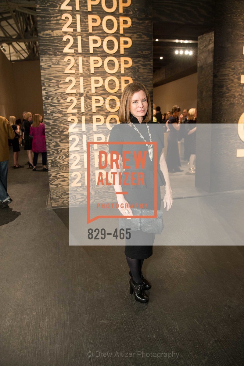 Suzy Kellems Dominik, FOG Design + Art Preview Gala, US. US, January 16th, 2014,Drew Altizer, Drew Altizer Photography, full-service agency, private events, San Francisco photographer, photographer california