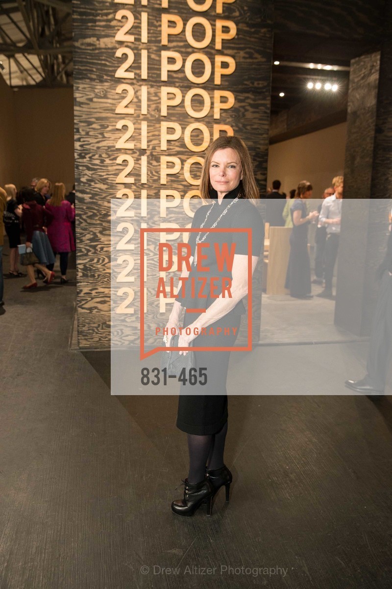 Suzy Kellems Dominik, FOG Design + Art Preview Gala, US. US, January 16th, 2014,Drew Altizer, Drew Altizer Photography, full-service event agency, private events, San Francisco photographer, photographer California