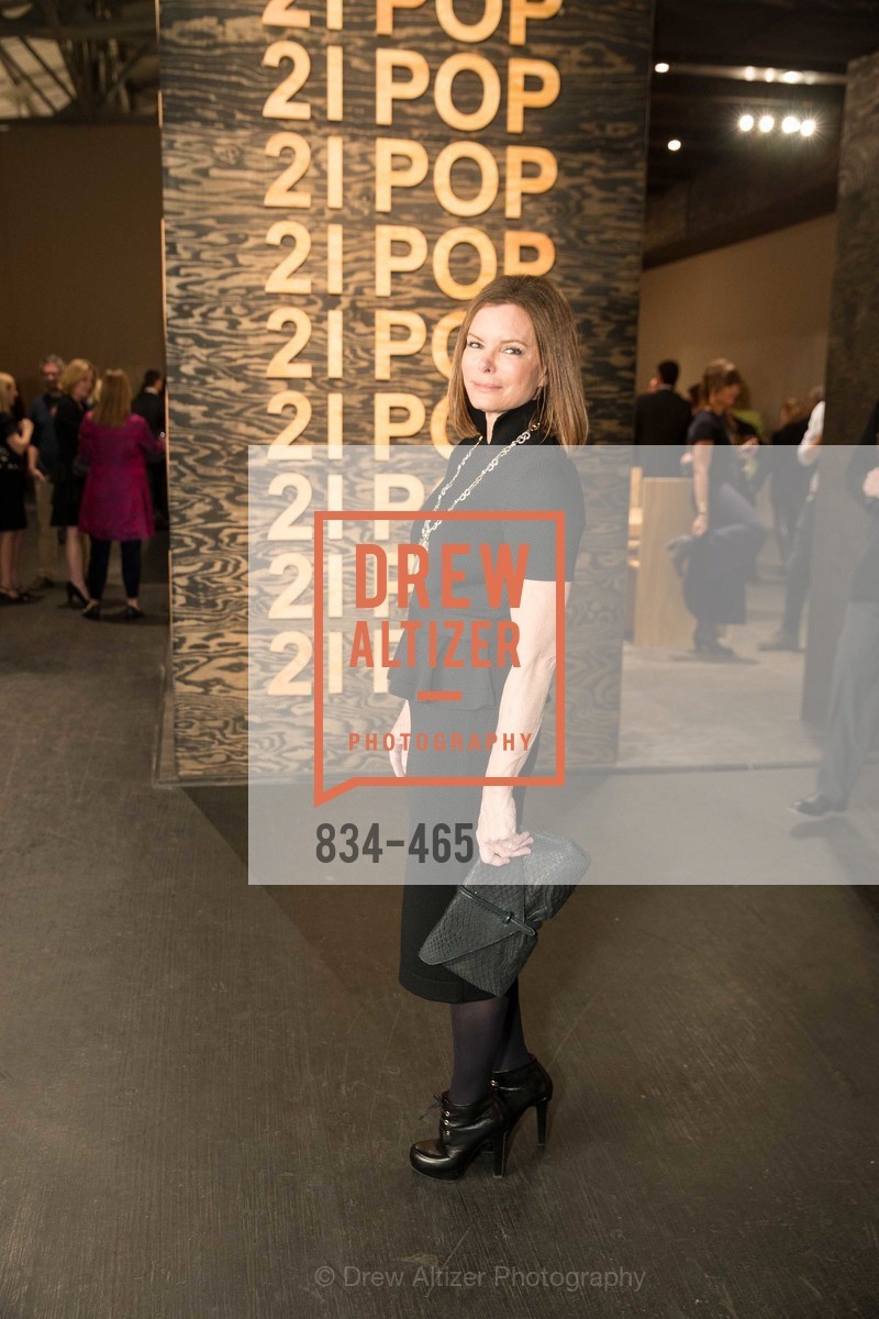 Suzy Kellems Dominik, FOG Design + Art Preview Gala, US. US, January 16th, 2014,Drew Altizer, Drew Altizer Photography, full-service agency, private events, San Francisco photographer, photographer california