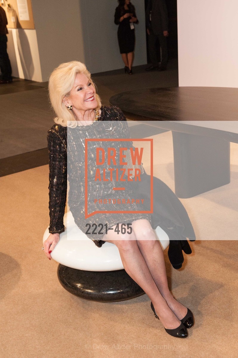 Dede Wilsey, FOG Design + Art Preview Gala, US. US, January 16th, 2014,Drew Altizer, Drew Altizer Photography, full-service agency, private events, San Francisco photographer, photographer california