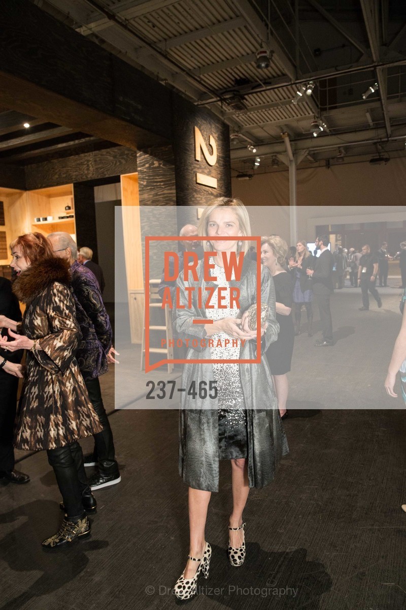 Leigh Matthes, FOG Design + Art Preview Gala, US. US, January 16th, 2014,Drew Altizer, Drew Altizer Photography, full-service agency, private events, San Francisco photographer, photographer california