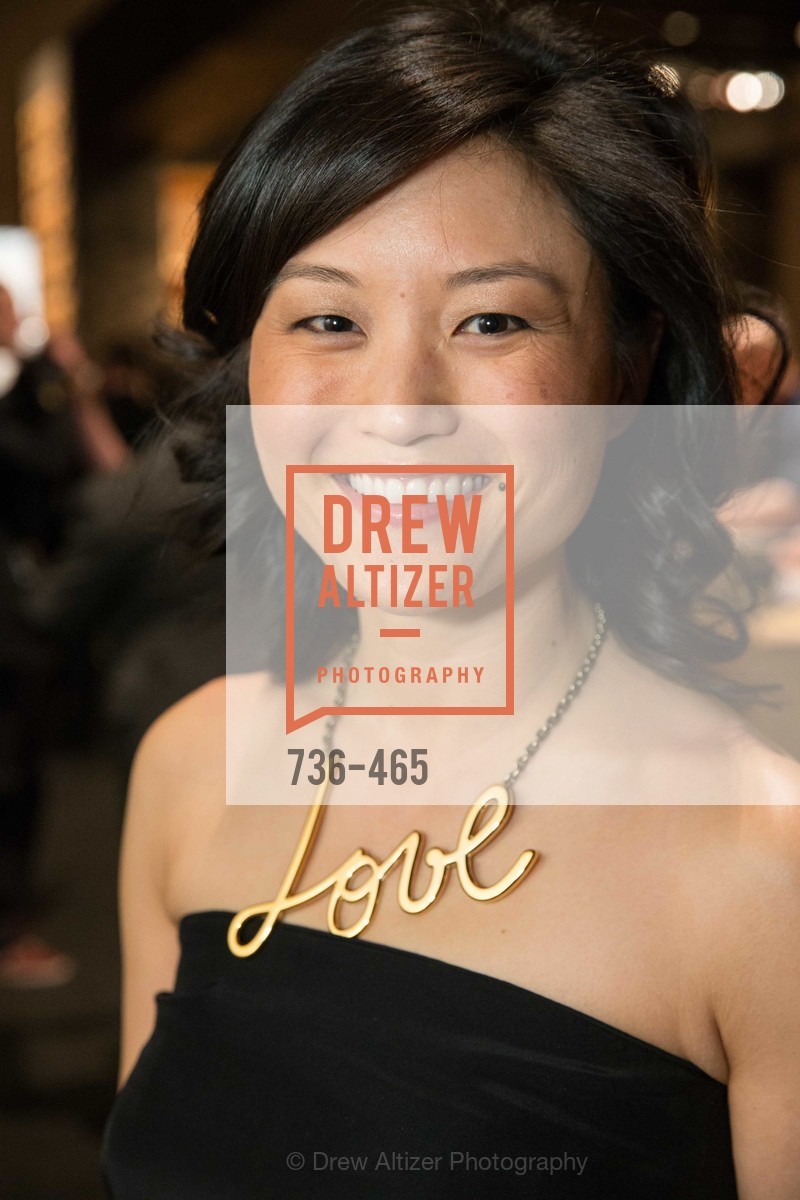 Catherine Kwong, FOG Design + Art Preview Gala, US. US, January 16th, 2014,Drew Altizer, Drew Altizer Photography, full-service agency, private events, San Francisco photographer, photographer california