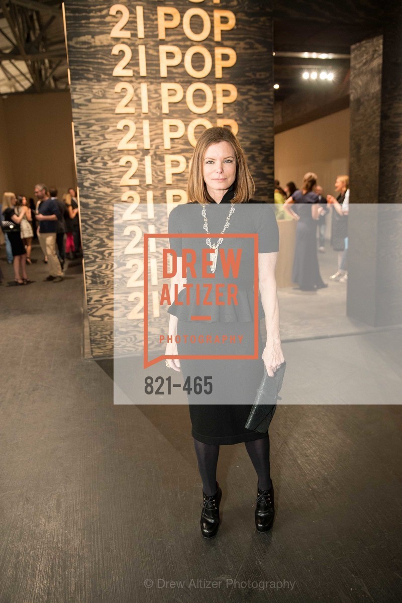 Suzy Kellems Dominik, FOG Design + Art Preview Gala, US. US, January 16th, 2014,Drew Altizer, Drew Altizer Photography, full-service agency, private events, San Francisco photographer, photographer california