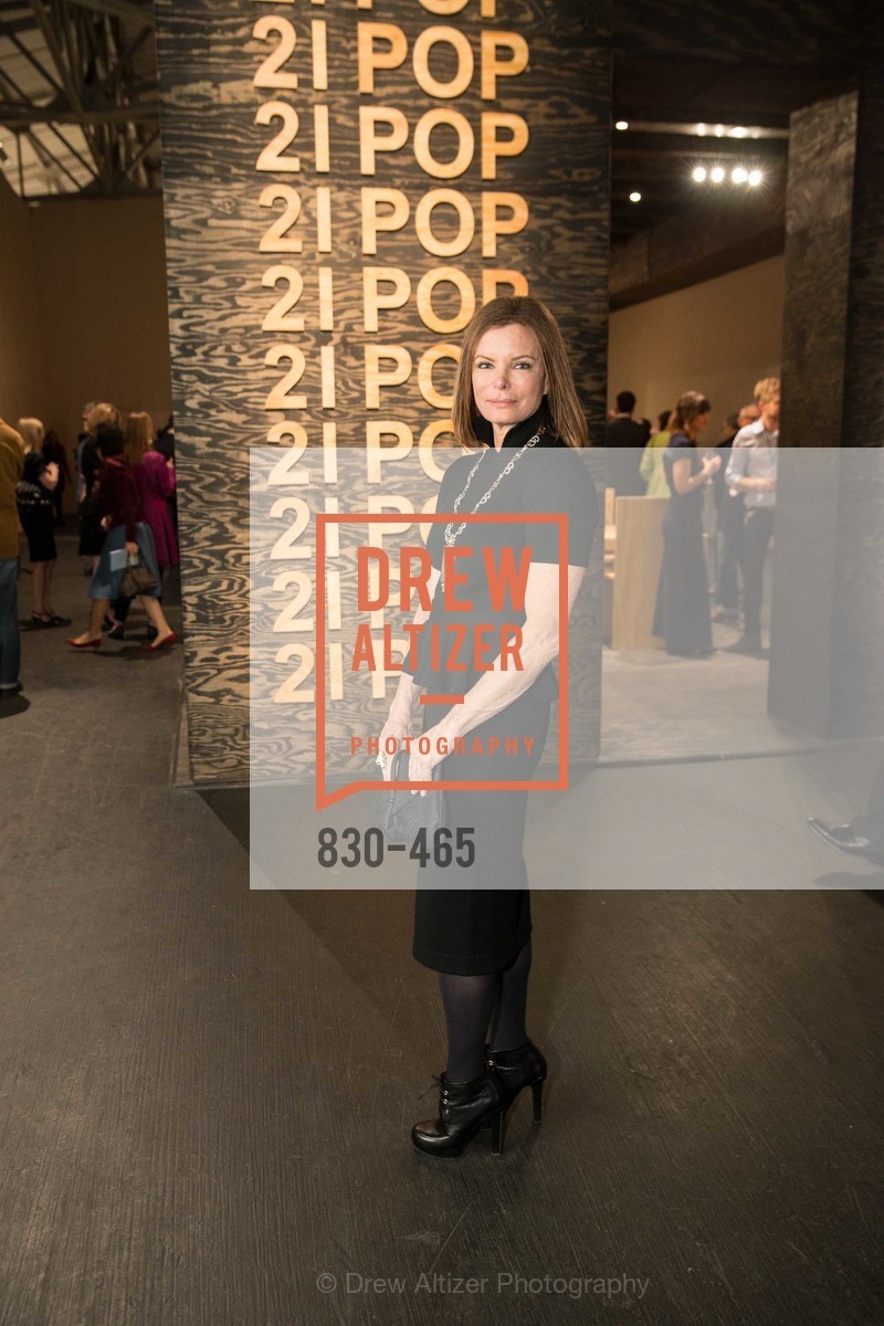 Suzy Kellems Dominik, FOG Design + Art Preview Gala, US. US, January 16th, 2014,Drew Altizer, Drew Altizer Photography, full-service agency, private events, San Francisco photographer, photographer california