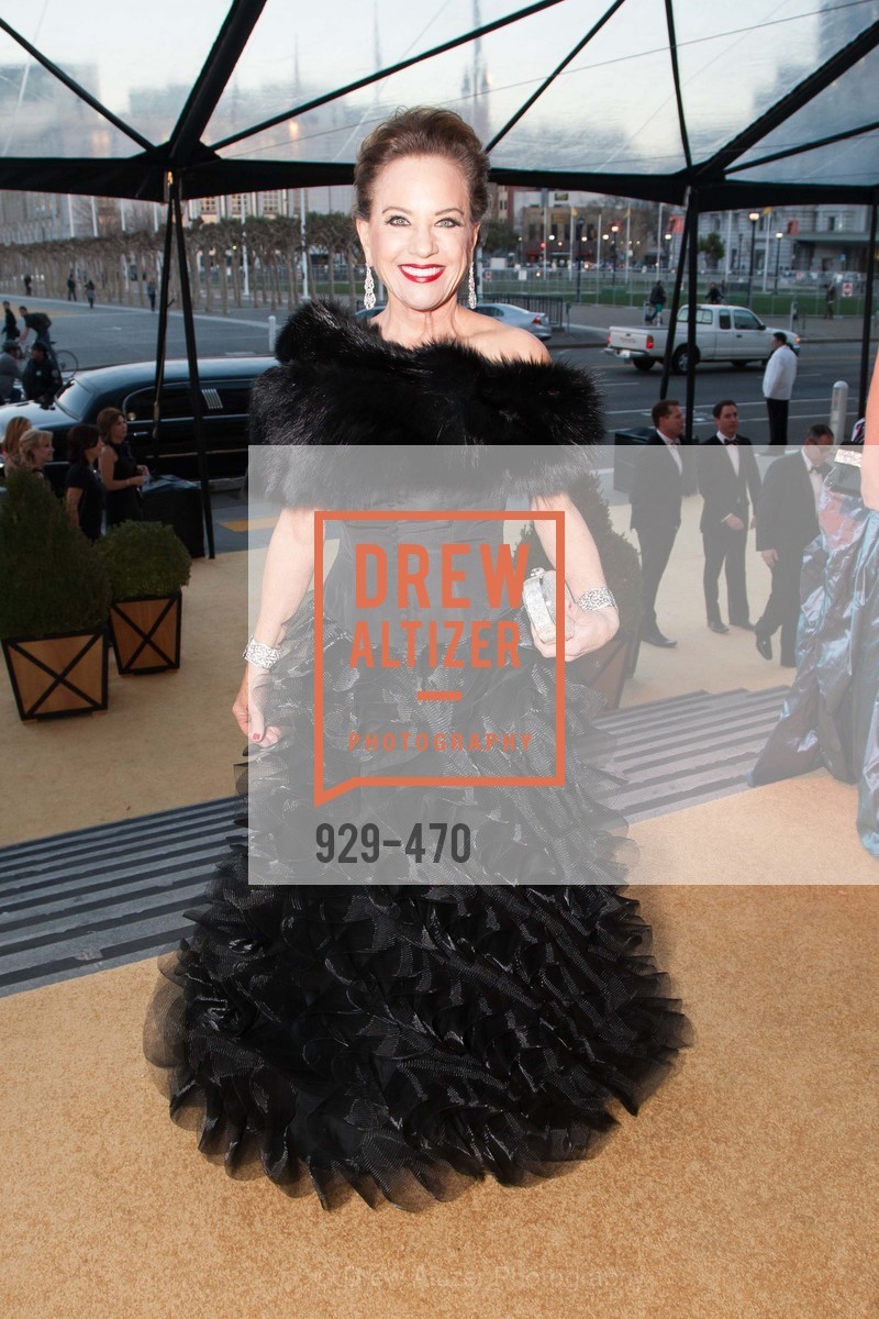 Robin Collins, SAN FRANCISCO BALLET Opening Night Gala: PHENOMENAL - Arrivals, US. SF City Hall, January 22nd, 2014,Drew Altizer, Drew Altizer Photography, full-service agency, private events, San Francisco photographer, photographer california