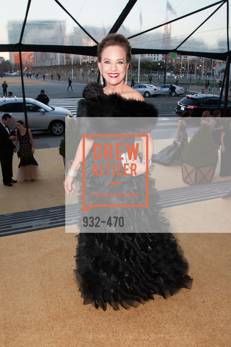 Robin Collins, SAN FRANCISCO BALLET Opening Night Gala: PHENOMENAL - Arrivals, US. SF City Hall, January 22nd, 2014,Drew Altizer, Drew Altizer Photography, full-service agency, private events, San Francisco photographer, photographer california